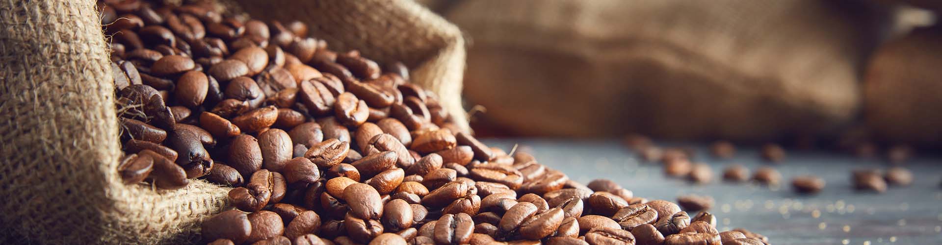 Koffiebonen voor een koffie proeverij bij CoffeeCase in Papendrecht, regio Rotterdam